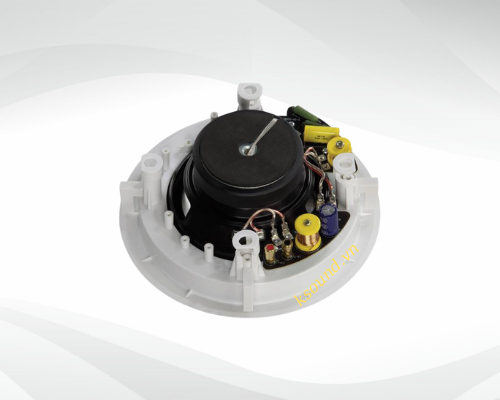 Loa Magnat ICP 62